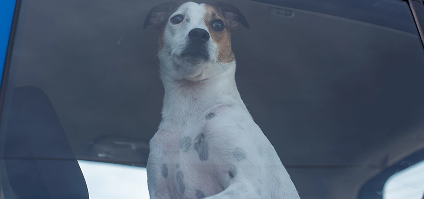 Car Lockout Solutions in Twentynine Palms, California